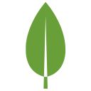 MongoDB